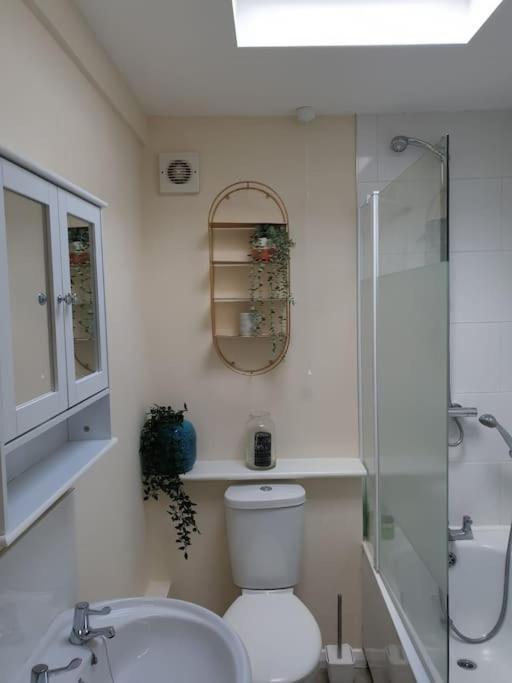 Apartament Two Bed Flat Sea View Old Town Hastings Zewnętrze zdjęcie